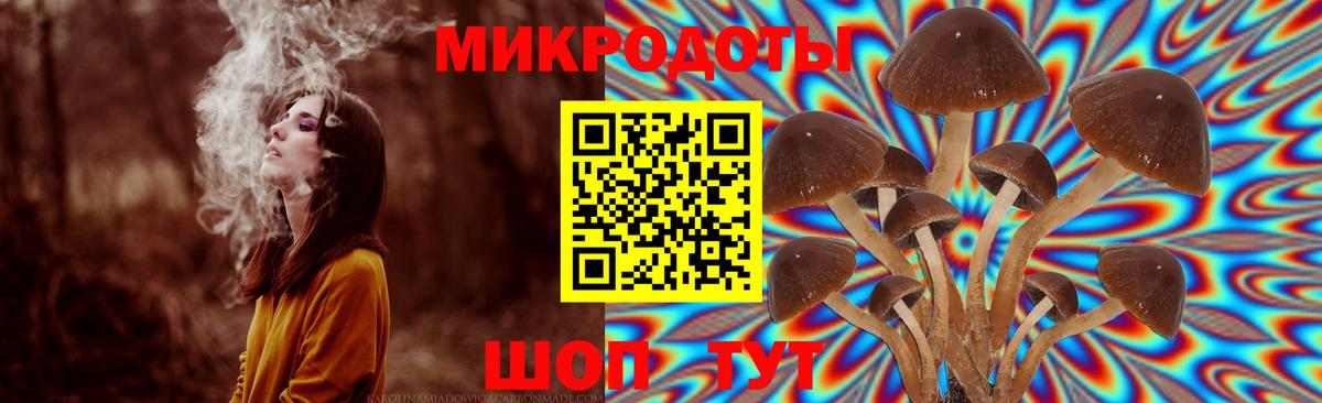 Галлюциногенные грибы MAGIC MUSHROOMS  Псилоцибиновые грибы MAGIC MUSHROOMS  Вход с VPN  Соликамск 